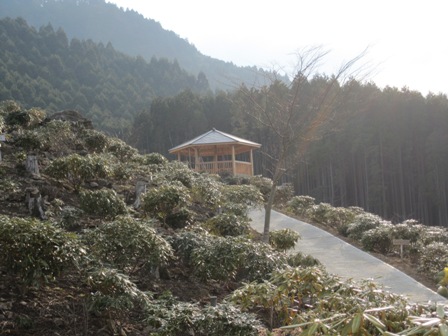 2011.3.28-1.JPG