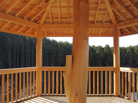 2011.3.31-4.JPG