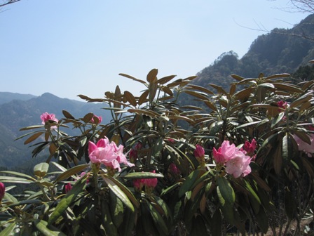 2011.4.12-3.JPG