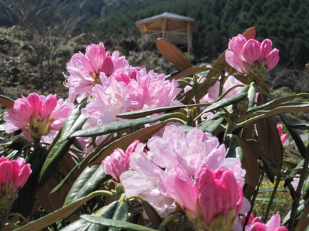 2011.4.14-1.JPG