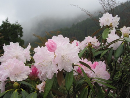 2011.4.15-3.JPG