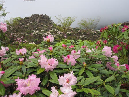 2011.4.27-2.JPG