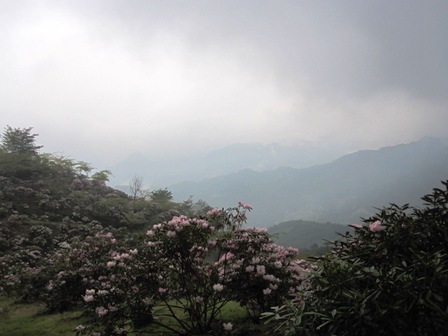 2011.4.27-6.JPG