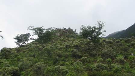 2011.6.14-1.JPG