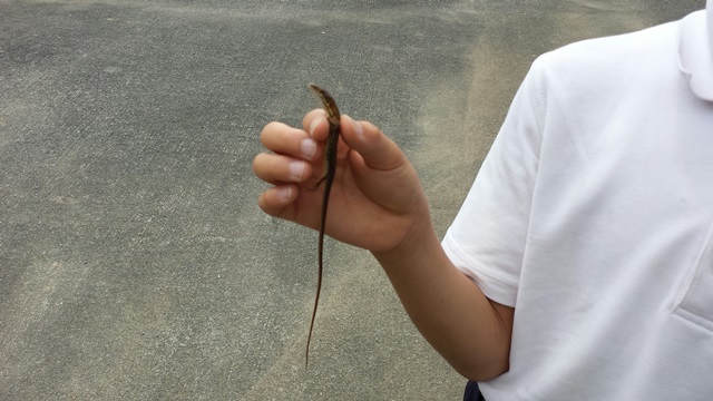 2015.7.17-1.jpg