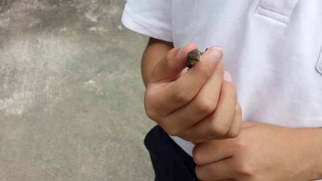 2015.7.17-2.jpg
