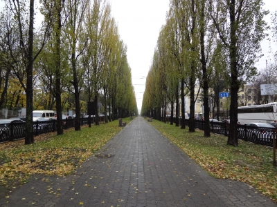 DSC03243.JPG