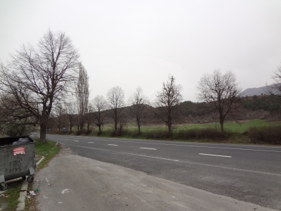 DSC04373.JPG
