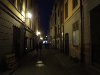 DSC05043.JPG
