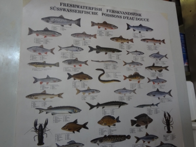 DSC05228.JPG