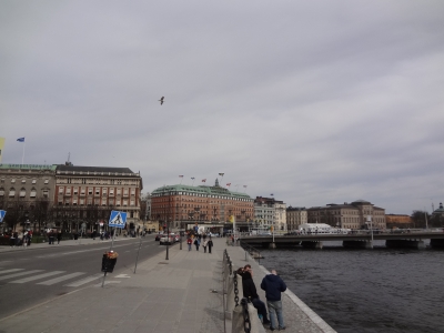 DSC05261.JPG