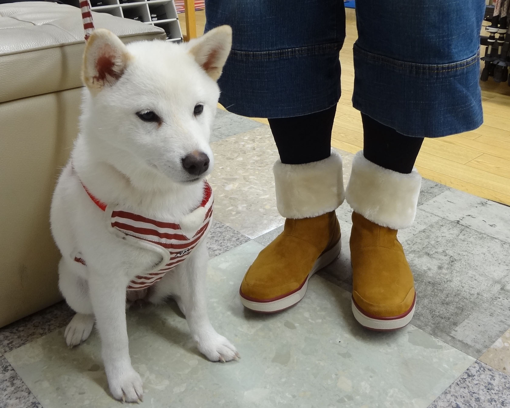 こはる