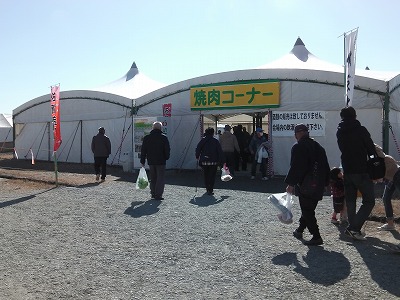IMGA0758.2017.2.3.jpg