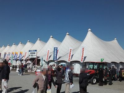 IMGA0762.2017.2.3.jpg