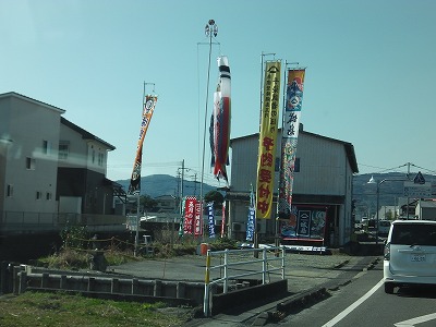 IMGA0792.2017.2.3.jpg