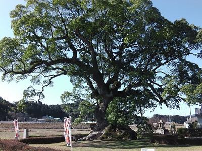 IMGA0804.2017.2.3.jpg