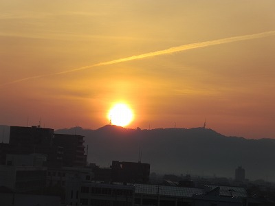 IMGA0366.2017.3.5.jpg