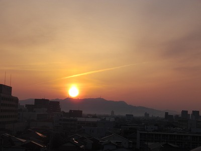 IMGA0367.2017.3.5.jpg