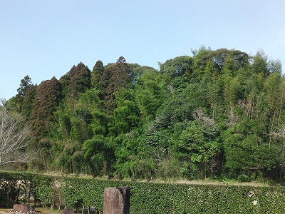 IMGA0475.2017.3.10.jpg