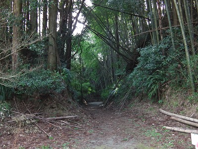 IMGA0478.2017.3.10.jpg
