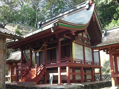 IMGA0493.2017.3.10.jpg