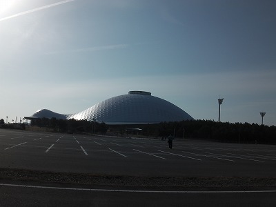 IMGA0828.2017.3.16.jpg