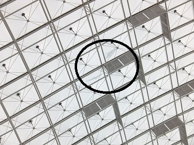 IMGA0831.2017.3.16.jpg