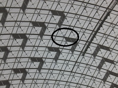 IMGA0833.2017.3.16.jpg