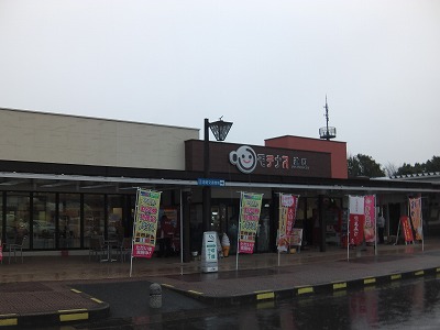 IMGA0157.2017.3.31.jpg