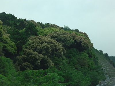 IMGA0214.2017.5.12.jpg
