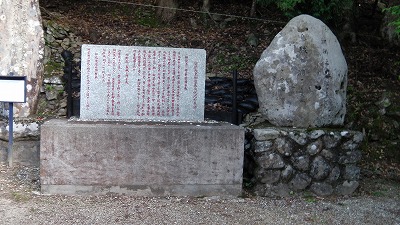 IMGA0711.2017.5.26.jpg