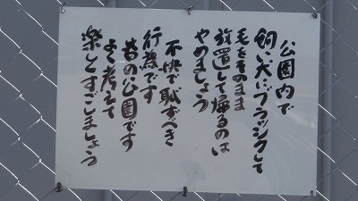 IMGA0756.2017.5.28.jpg