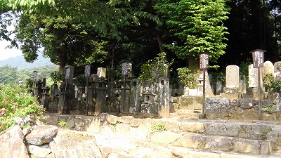 IMGA0795.2017.5.31.jpg