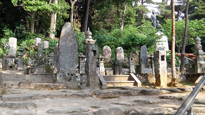 IMGA0797.2017.5.31.jpg