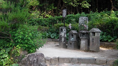 IMGA0799.2017.5.31.jpg