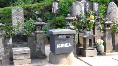 IMGA0800.2017.5.31.jpg