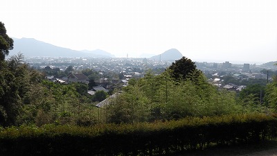 IMGA0805.2017.5.31.jpg