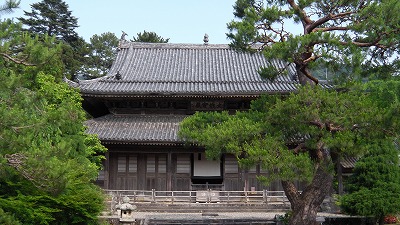 IMGA0782.2017.5.31.jpg