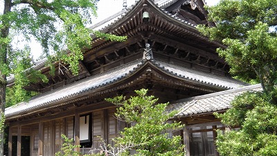 IMGA0785.2017.5.31.jpg
