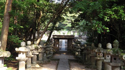 IMGA0788.2017.5.31.jpg