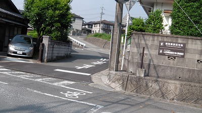 IMGA0815.2017.5.31.jpg