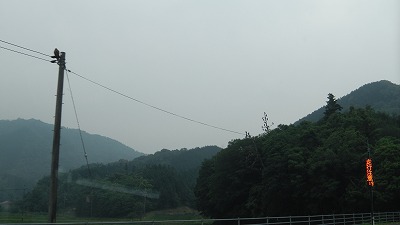 IMGA0764.2017.5.31.jpg