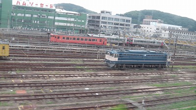 IMGA0757.2017.6.25.jpg