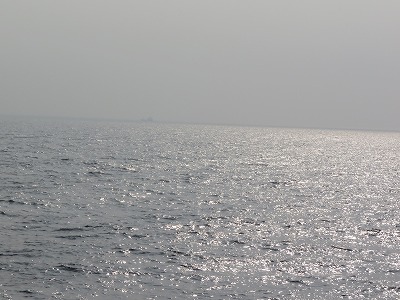 IMG_3907.2017.7.5.jpg
