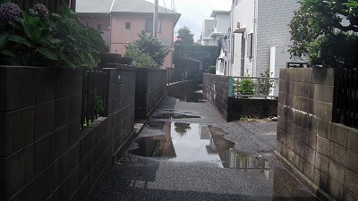 IMGA0373.2017.7.18.jpg
