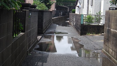 IMGA0374.2017.7.18.jpg