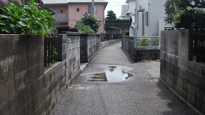 IMGA0375.2017.7.18.jpg