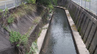 IMGA0377.2017.7.18.jpg