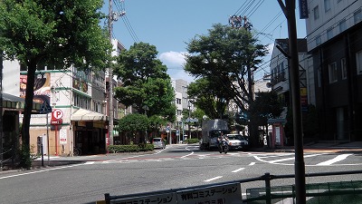IMGA0569.2017.8.2.jpg