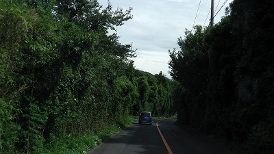 IMGA0639.2017.8.6.jpg